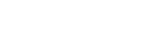 ProEnergetic Logo in weiß auf dunklem Hintergrund im Website Header