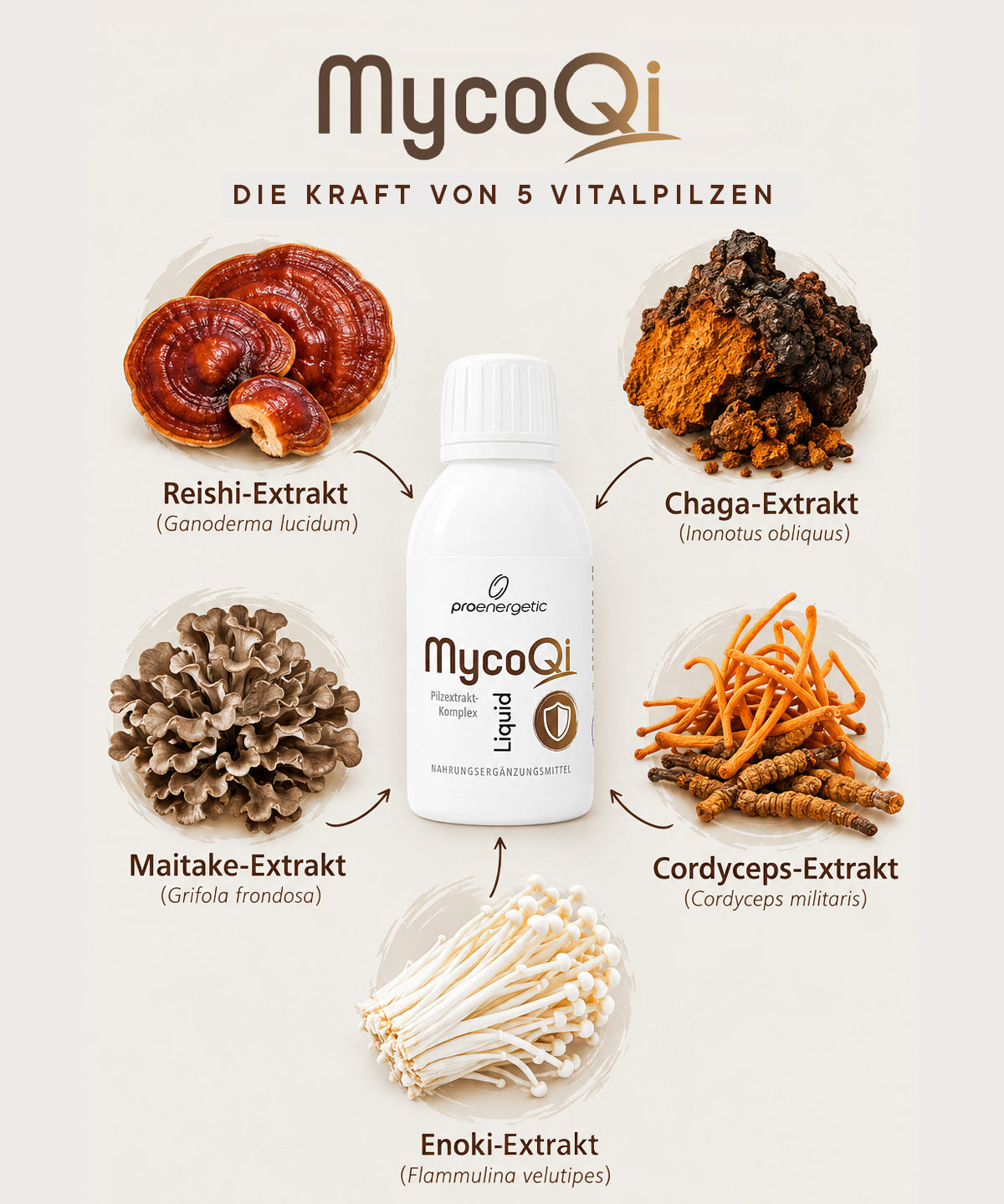 mycoqi-zudatenuebersicht-proenergetic_95bc6447-1b87-45f1-988b-61eb97cd0141.webp