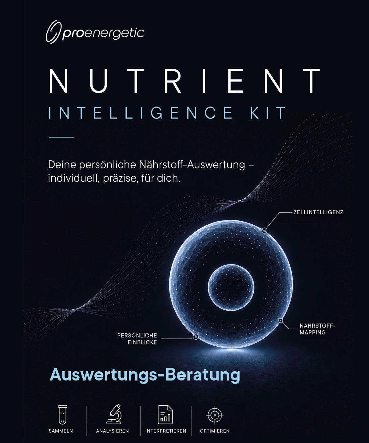 Auswertungs-Beratung