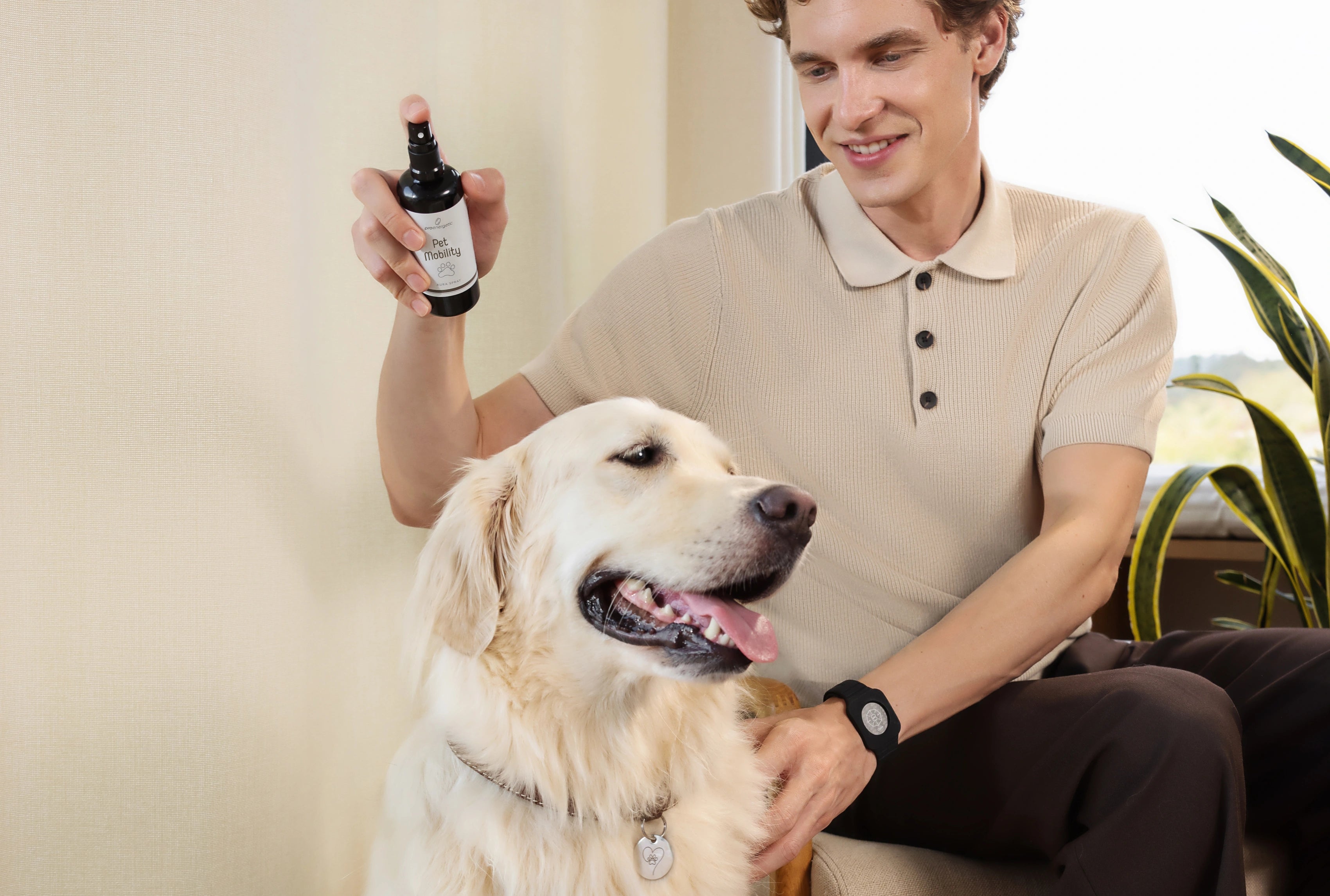 Mann sitzt entspannt auf einem Sofa und sprüht „Pet Mobility“ Aura Spray von proenergetic auf einen glücklichen Golden Retriever. Der Hund sitzt ruhig, hechelt entspannt und trägt ein Halsband. Helle, wohnliche Umgebung mit Pflanze im Hintergrund.