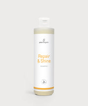 Weiße Repair & Shine Shampoo Flasche von ProEnergetic mit goldener Akzentlinie und klarer, minimalistischer Gestaltung vor hellem Hintergrund.